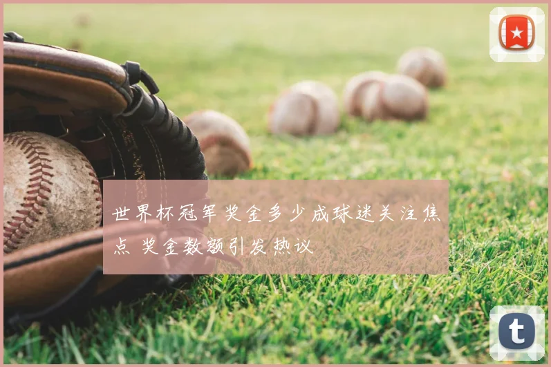 世界杯冠军奖金多少成球迷关注焦点 奖金数额引发热议
